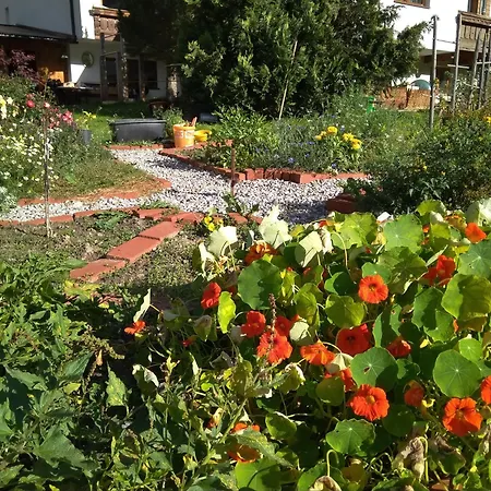 Michls Hoamat Dreibettzimmer Accommodatie bij particulieren Sölden